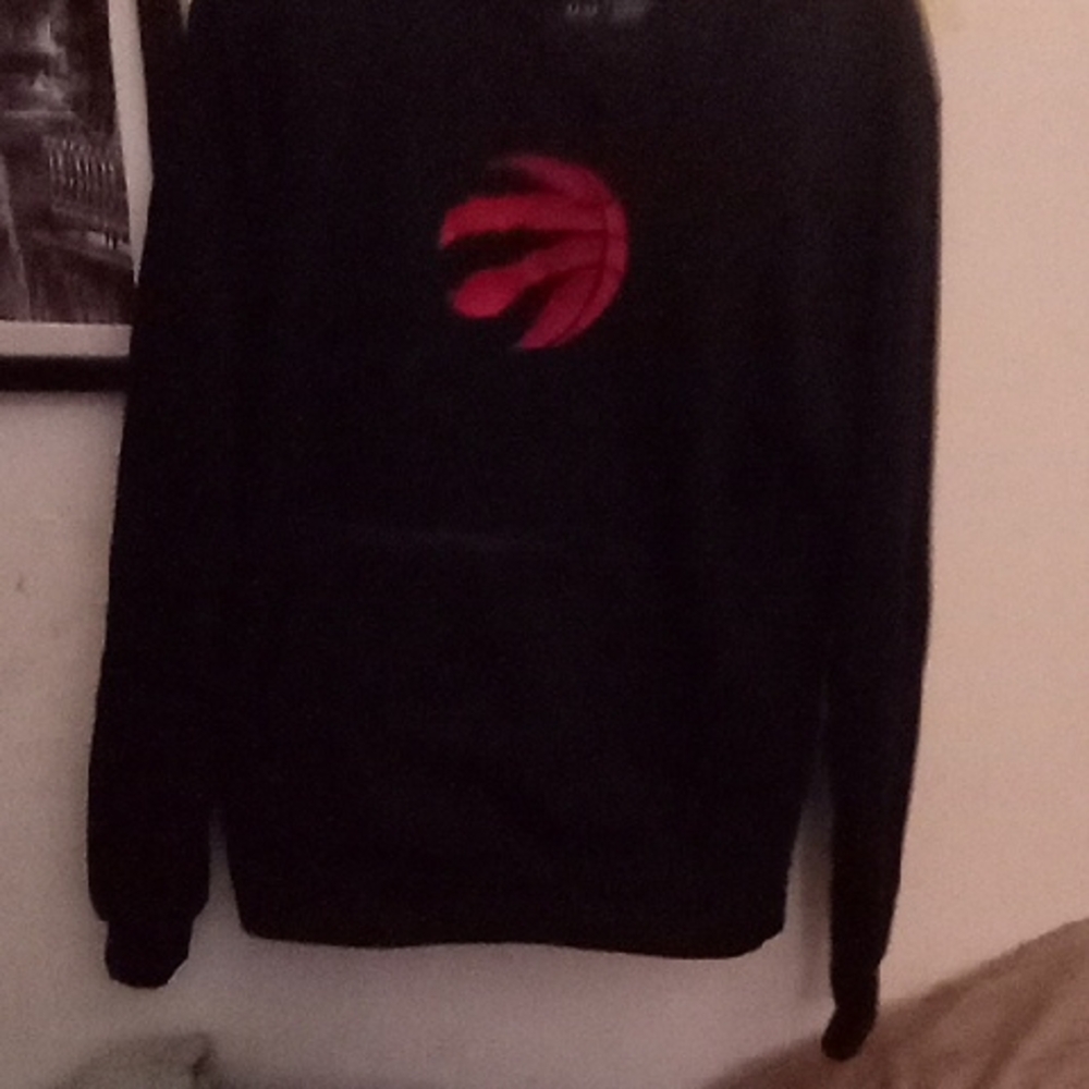 Toronto Raptors Çrewn³d - Picture 7 of 11